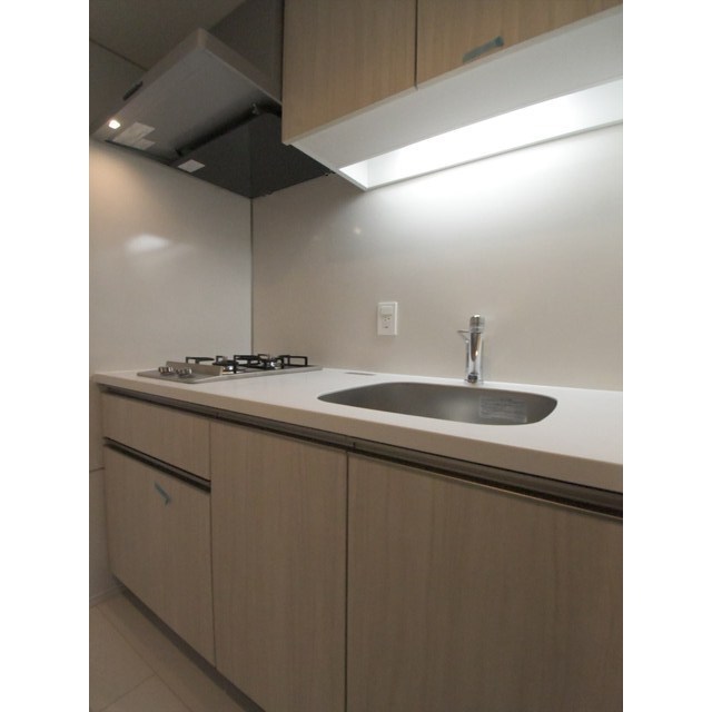 ラクレイス横濱関内0101号室 内観