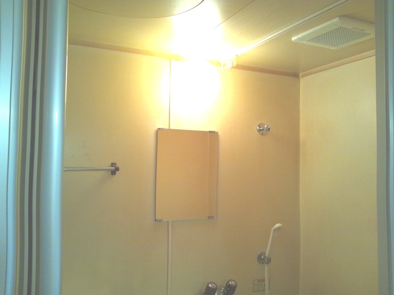 プラザドゥクリムゾン2階 洗面