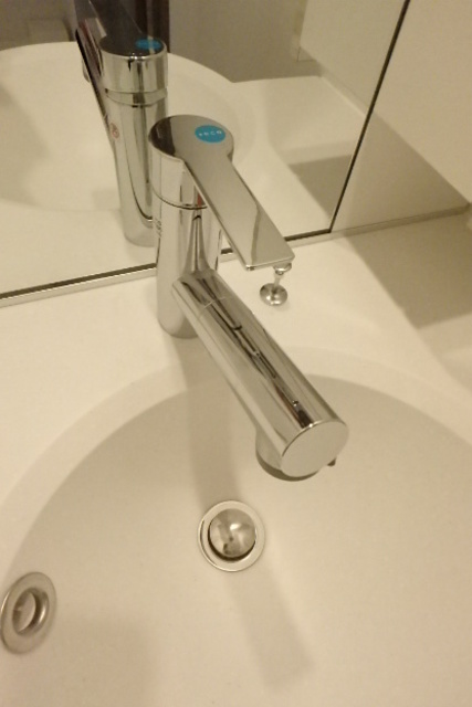 ガーラ・パークヒルズ町田 洗面