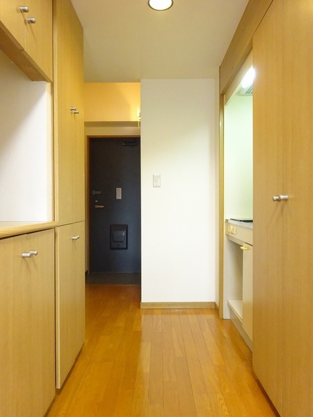 グリフィン横浜・ウェスタ502号室 その他