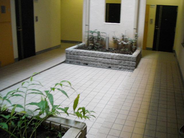 ＡＺＡＬＥＡ恋ヶ窪Ⅱ3階 部屋その他