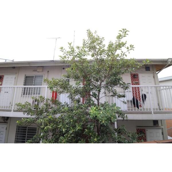 彩亮ハウス202号室 部屋その他