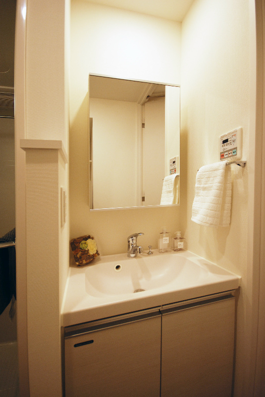 プレミアムキューブ関内204号室 洗面