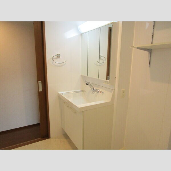 南桜207号室 洗髪洗面化粧台