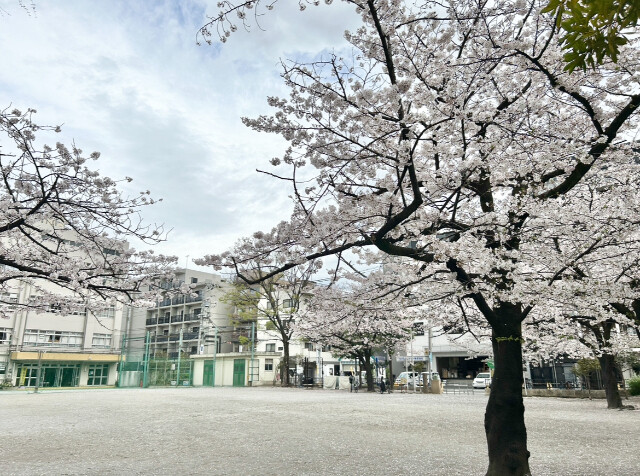 プレール・ドゥーク菊川5階 部屋その他