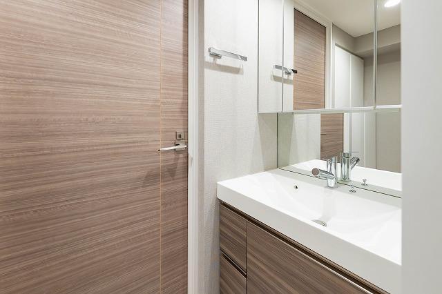 東神田テラスレジデンス10階 洗面所