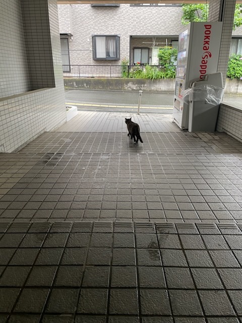 クリオ大口壱番館3階 その他