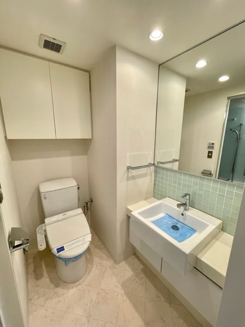 レジディア錦糸町Ⅱ3階 洗面