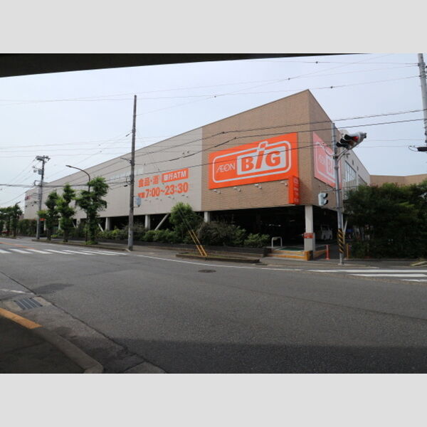 さくら203号室 ザ・ビッグ　 東橋本店