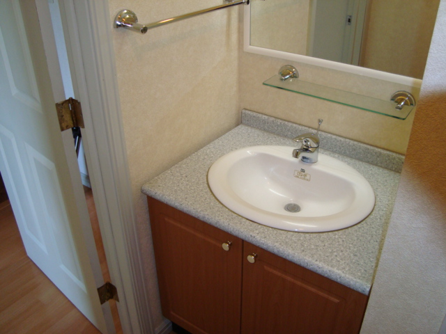 パーチェ西初石102号室 洗面