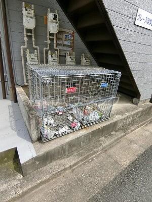 グレイス哲学堂2階 部屋その他