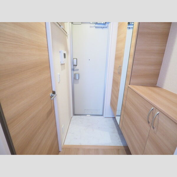 カーサ津田山201号室 玄関(シューズボックス)