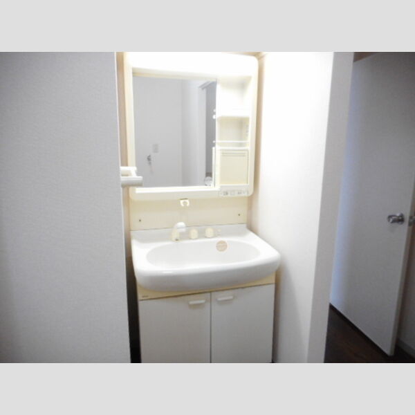 フレマリール鎌ヶ谷　A103号室 洗髪洗面化粧台