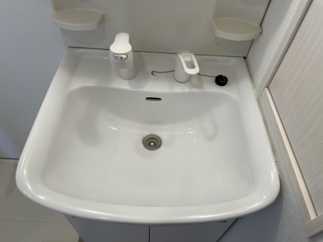 クレアール巣鴨302号室 洗面