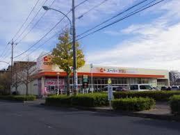 西東京ヴィレッジ スーパーオザム末広店