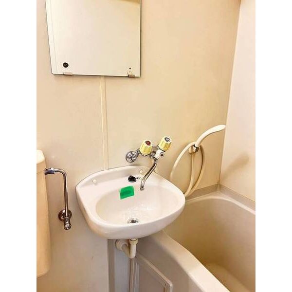 ロックグランデ船橋0201号室 洗面