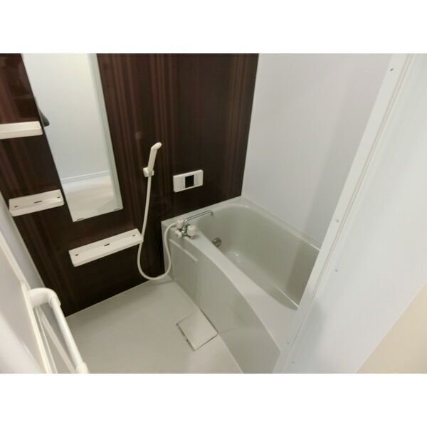 ネクサスホーム川崎206号室 お風呂