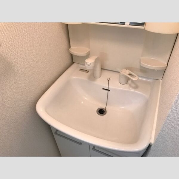 ベルテ・イマイ205号室 洗髪洗面化粧台