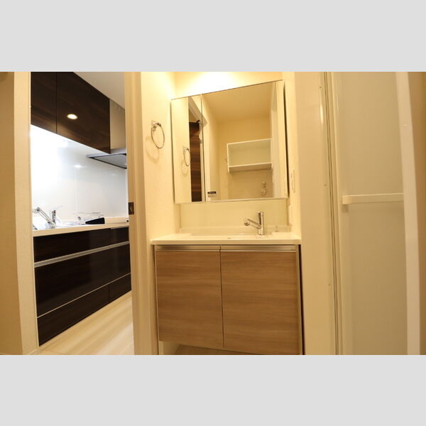 D-ROOM椿森1丁目B 洗髪洗面化粧台