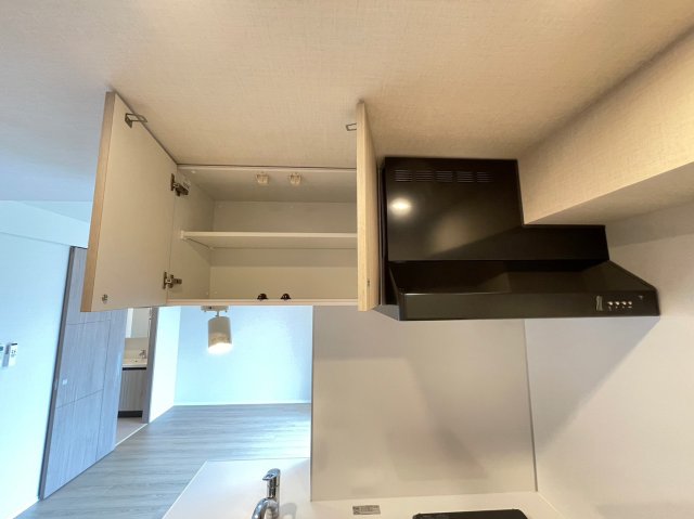 DIPS東十条駅前PREMIUM404号室 収納