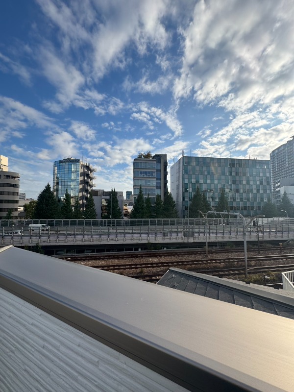 千駄ヶ谷5丁目戸建て 屋上からの眺め