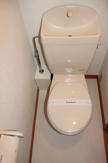 レオパレスドゥマン姉崎103号室 独立トイレ