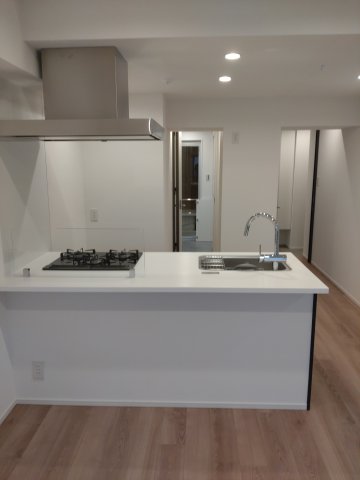 SYFORME ITABASHI Ⅲ802号室 ※同タイプ参考写真です（natural）