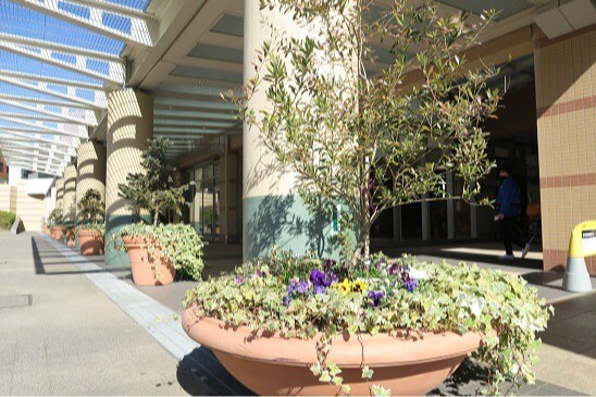 河田町ガーデン１号棟13階 部屋その他