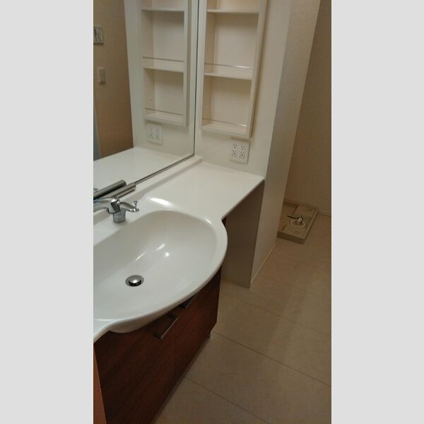 パナックスⅡ101号室 洗髪洗面化粧台