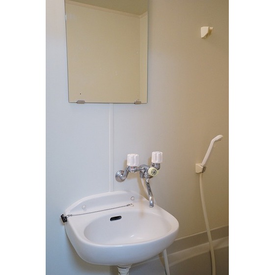 エコーハイム0202号室 洗面台