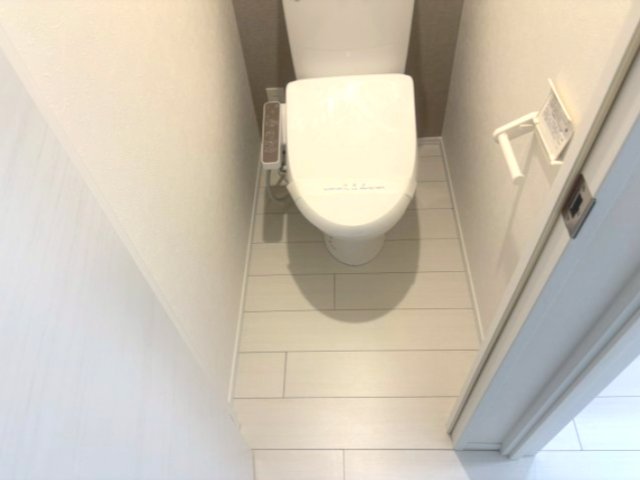 ピースフルパレス世田谷502号室 トイレ