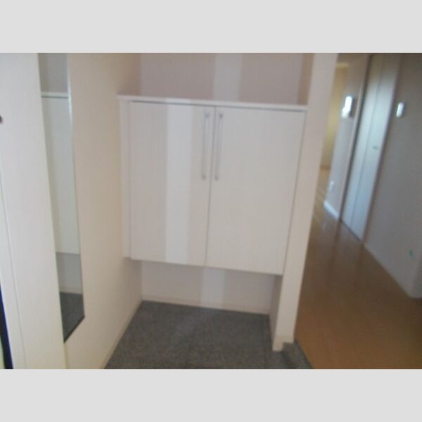 ジェイ・エス・ティ横浜東701号室 玄関シューズボックス