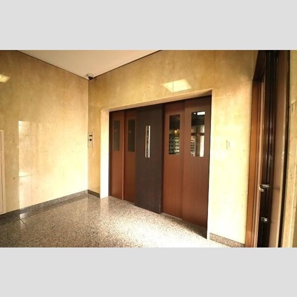 フリーダム光が丘Ⅱ エレベーター2基