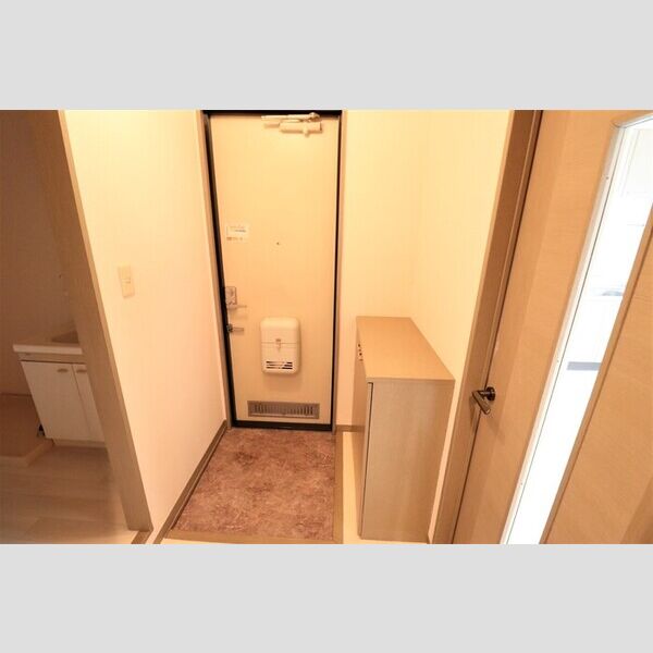 グリーンハウス　Ⅲ307号室 玄関