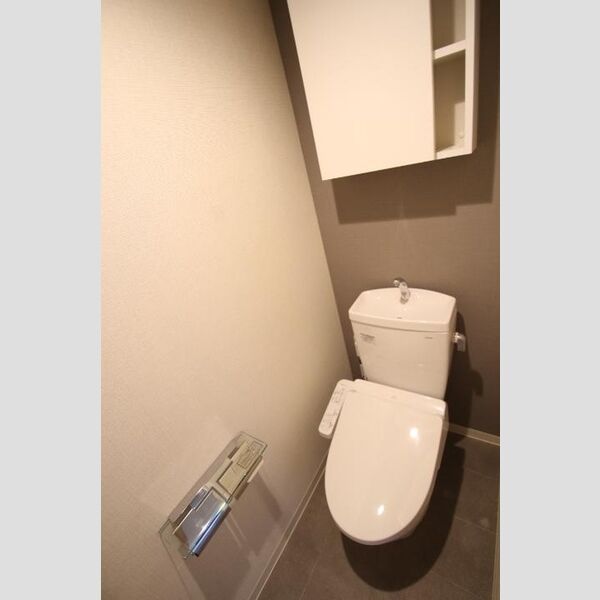 Grande Carro(グランデカッロ)802号室 温水洗浄暖房便座