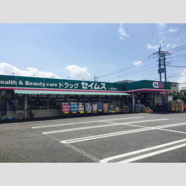 フォンテーヌ　D セイムス大宮西店(約400m)