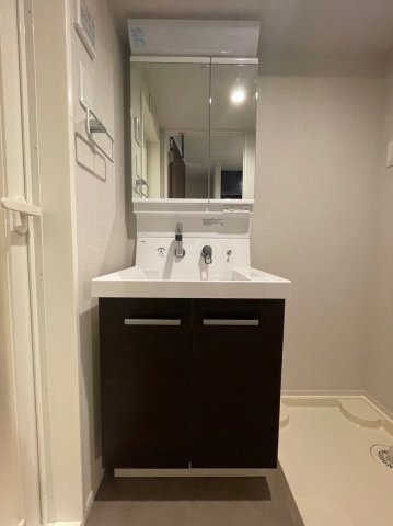 DIPS練馬春日町107号室 洗面