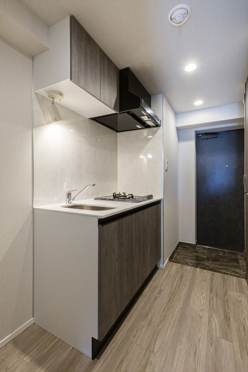 DIPS野方501号室 キッチン