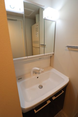 GENOVIA池袋0306号室 洗面