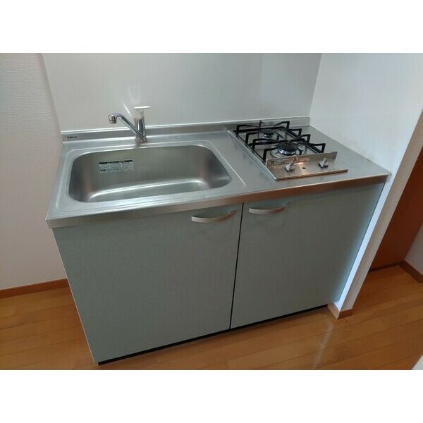 ヴィータローザ東雪谷302号室 部屋その他