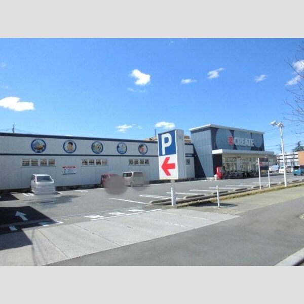 アリエス205号室 ドラッグストア(178m)