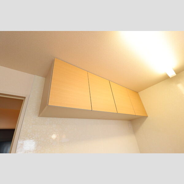 プルミエール キッチン　収納