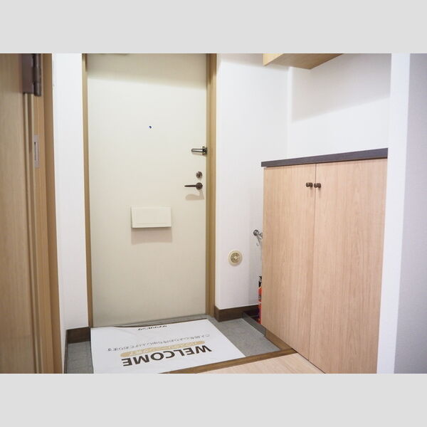 germer武蔵中原(ジェルメムサシナカハラ)313号室 玄関(シューズボックス)