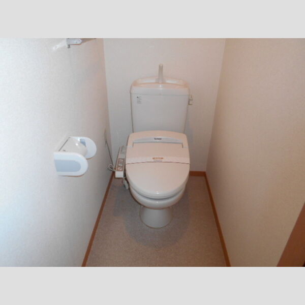 ドミール岩瀬302号室 トイレ　温水洗浄暖房便座
