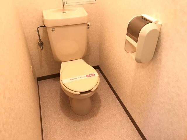 サザンフィールド305号室 トイレ