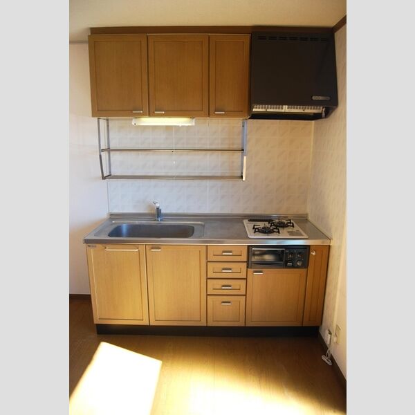 マレッサパーク205号室 キッチン
