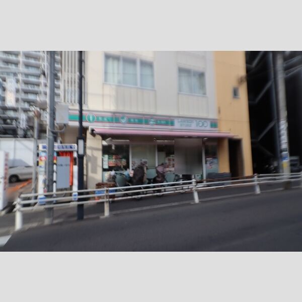 セレスティア新小岩 ローソンストア100葛飾新小岩2丁目店　193m