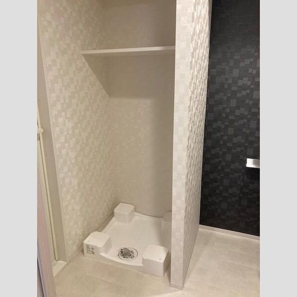 S-RESIDENCE両国緑 洗面