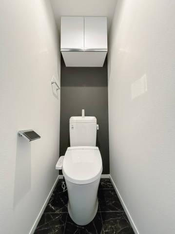 スカイルーチェ南浦和403号室 トイレ