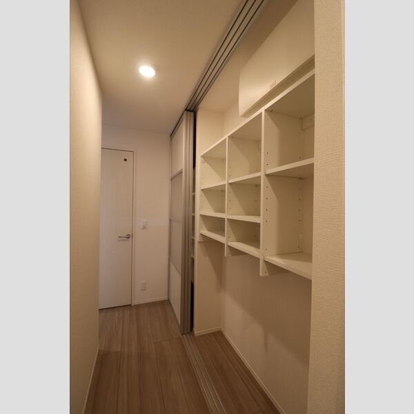ムーンダスト美園102号室 廊下　物入